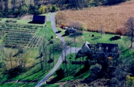 The Orchard