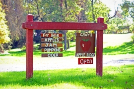 Orchard Hours of Operation